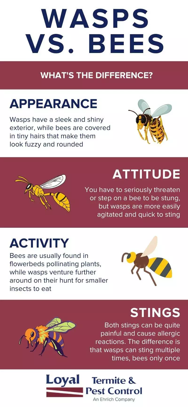 Ways to Differentiate Honey Bees