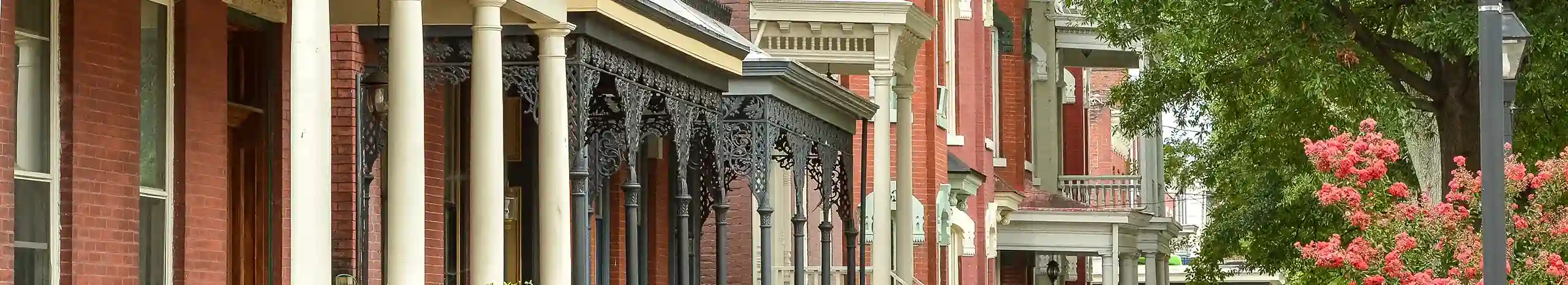 brick homes and business lined up on a street - Keep pests away from your home with Loyal Termite & Pest Control in Ashland VA